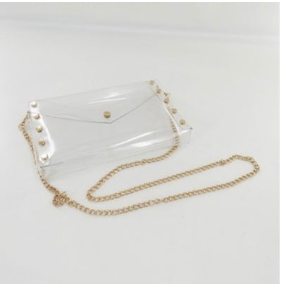 Small Clear Crossbody and Clutch Bag